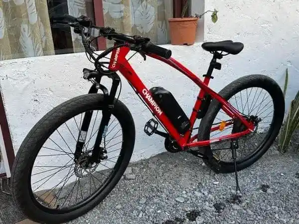 Electric Bike Rental